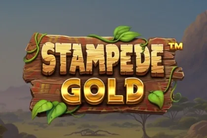 Stampede Gold